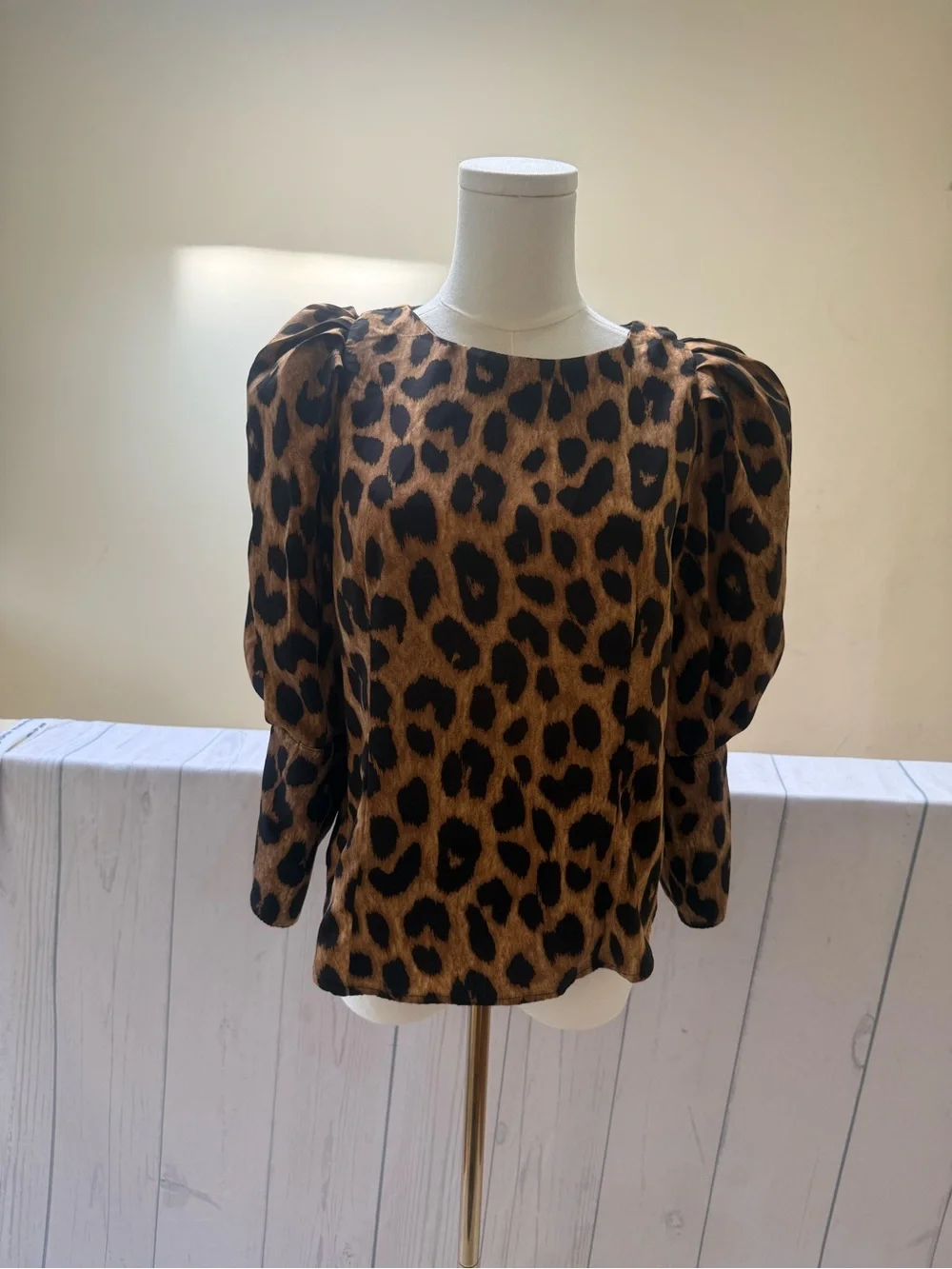 Gracia wild leopard